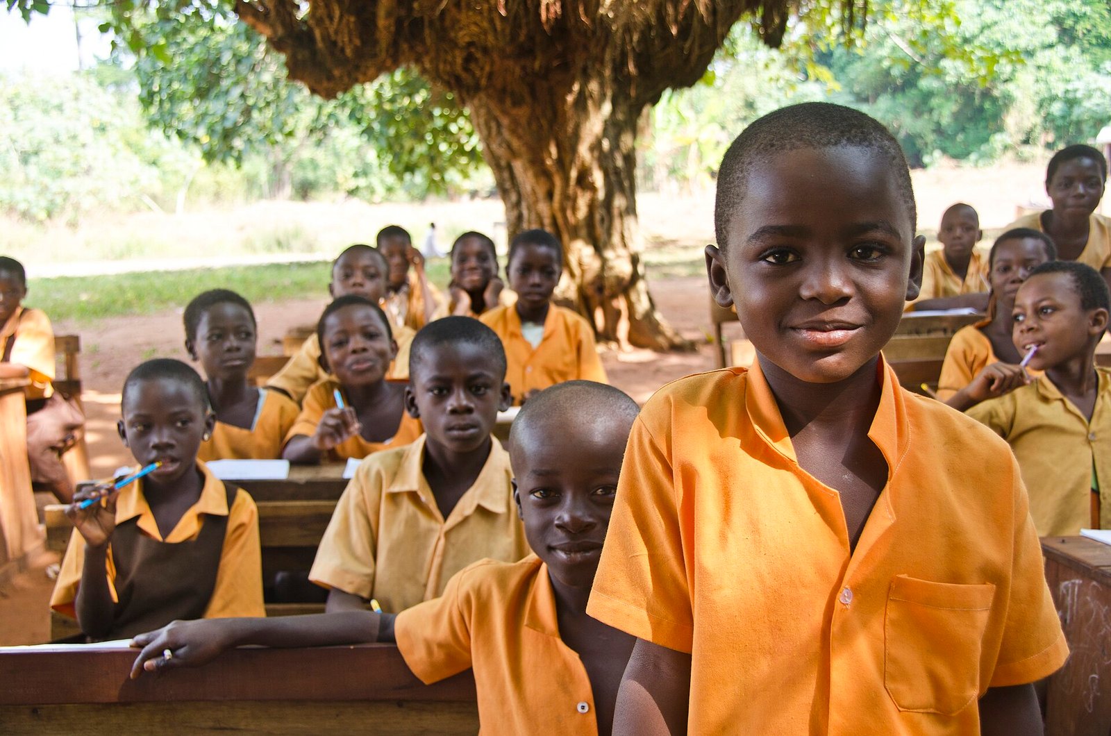 Out of the 60 basic schools in the Wa West district of the Upper West region, 44 of them hold classes under trees, the District Director …