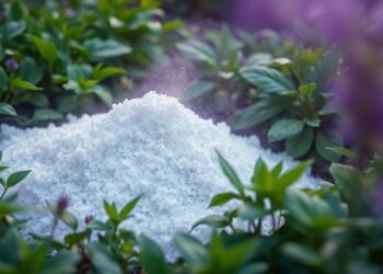 Waschsoda zur Unkrautbekämpfung