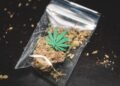 Cannabis-Legalisierung in Deutschland: Verbraucherinfo & Überblick