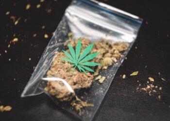 Cannabis-Legalisierung in Deutschland: Verbraucherinfo & Überblick