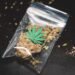 Cannabis-Legalisierung in Deutschland: Verbraucherinfo & Überblick