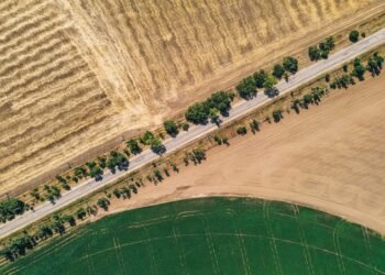 Warum manche Straßenzüge deutlich gefragter sind