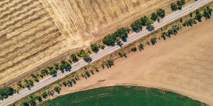 Warum manche Straßenzüge deutlich gefragter sind