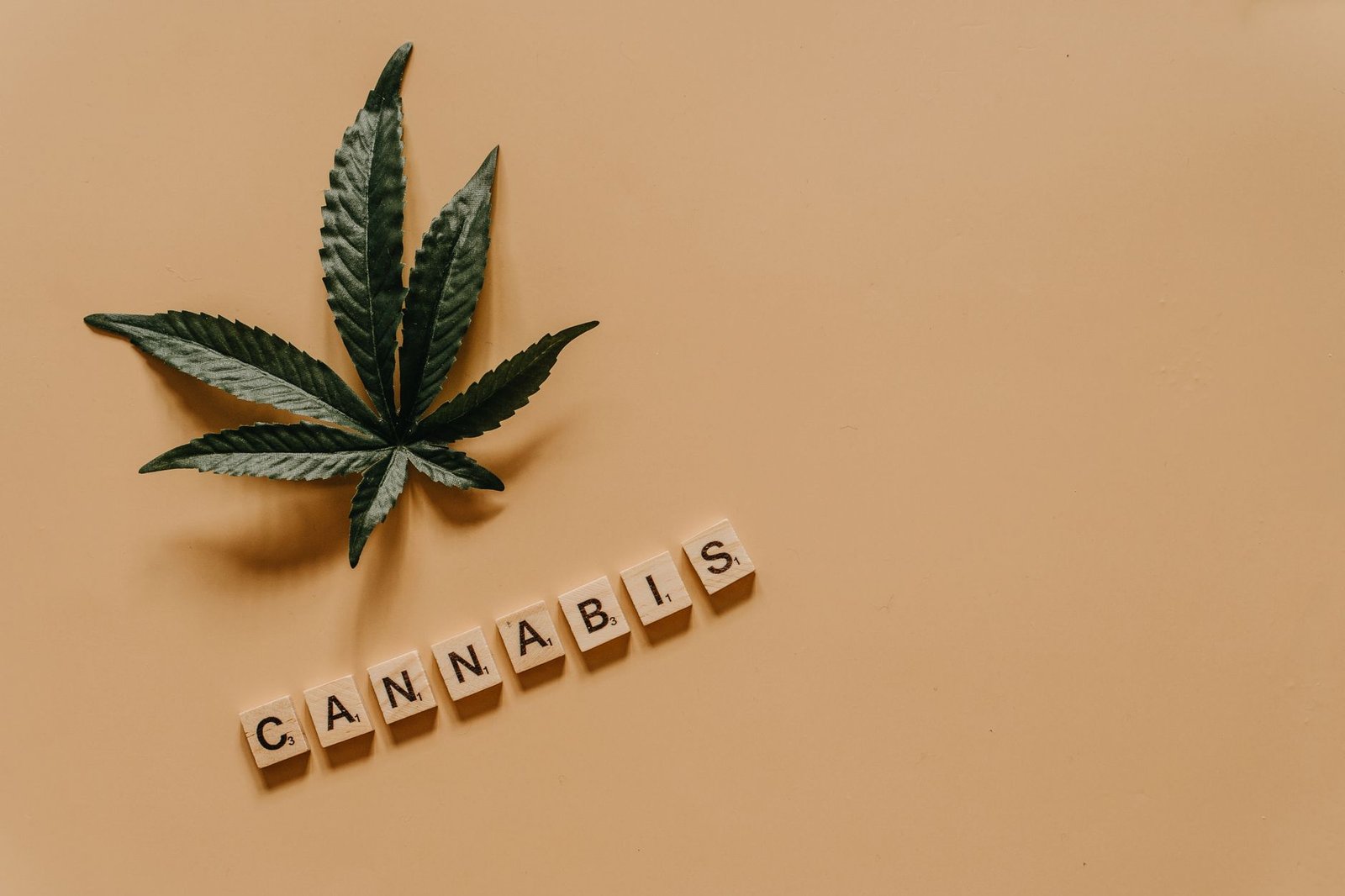 A cannabis leaf with the word 'cannabis' spelled out in letter tiles on a beige background.