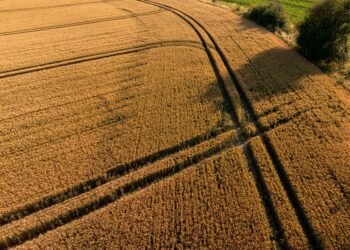 Pferdehaltung auf eigenem Grundstück: Das müssen Käufer wissen