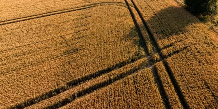Pferdehaltung auf eigenem Grundstück: Das müssen Käufer wissen